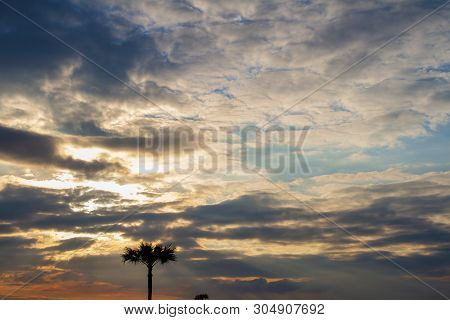 Evening Weather In The Field, Golden Cloud And Sky With Silhouette Sugar Palm Trees. Sun Light Are S