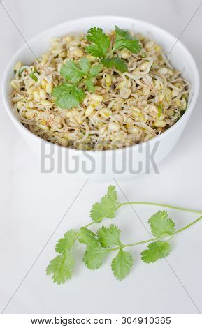 Mung Beans Salad On White Background, In A Deep Plate