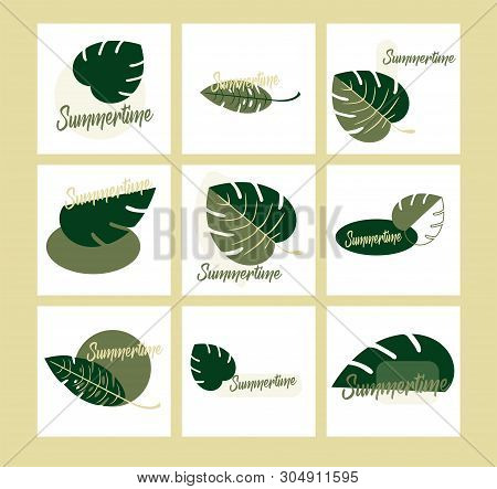 Flat Design Vector Set Of Logo With Exotic Leaves. Closeup. The Beautiful Leaves Of Monstera And Fer
