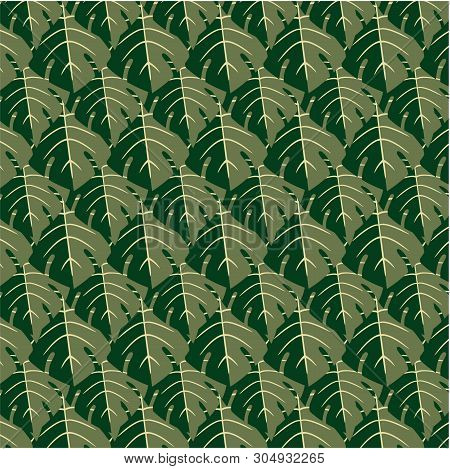 Tropic Vector Pattern - Leaves Of An Exotic Monstera Plant Close-up. Beautiful Designer Botany Print