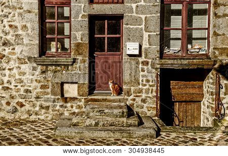 Domfront, France, Feb 2019, cat on the stairs in “Cour Marie du Rocher” courtyard in a medieval town of Normandy