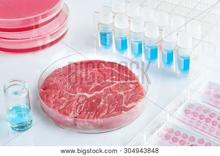 Meat Sample In Open  Disposable Plastic Cell Culture Dish In Modern Laboratory Or Production Facilit