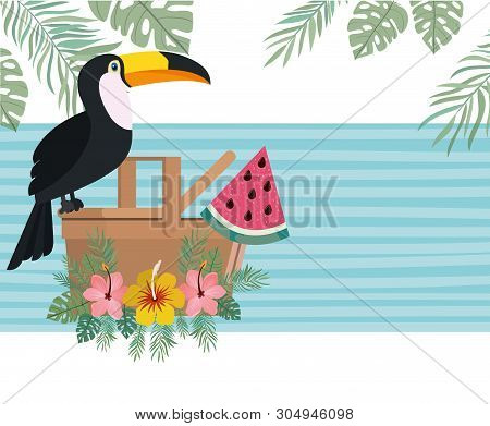 Pattern Of Toucan And Summer Flower Vector Illustration Design