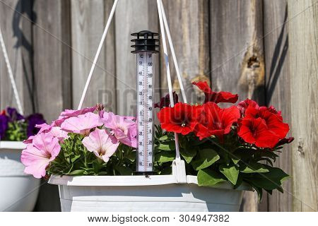 Summer Heat - A Termometer Shows High Temperatures