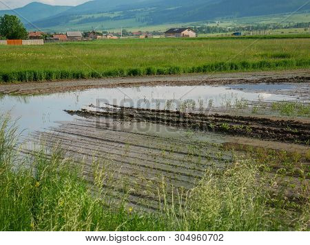 Flooded Agricultural Fields In Transylvania, Romania, Due The Unfavorable Wheater Conditions A Big P