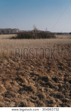 Landscape With Swamps