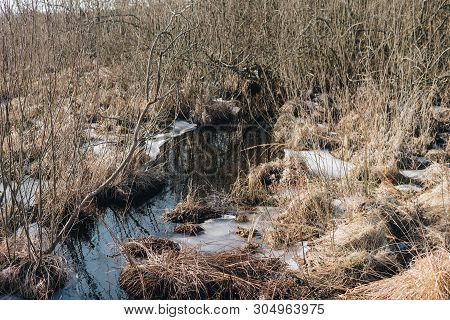 Natural Landscape Of Polesie Region Full Of Swamps During End Of Winter Season