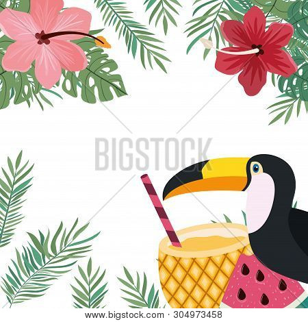 Pattern Of Toucan And Summer Flower Vector Illustration Design