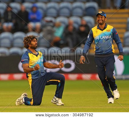 CARDIFF, WALES. 04 JUNE 2019: Lasith Malinga of Sri Lanka celebrates taking the wicket of Hamid Hasan of Afghanistan during the Afghanistan v Sri Lanka, ICC Cricket World Cup match