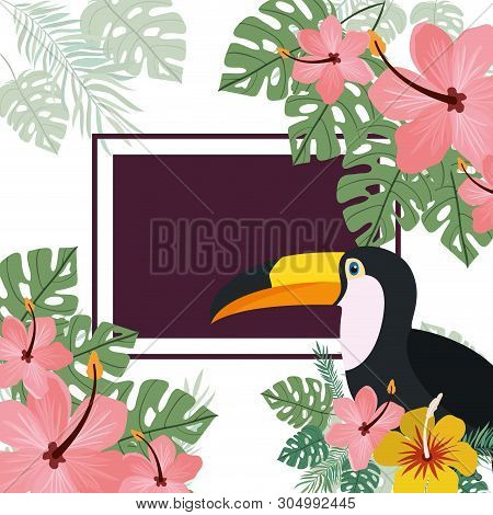 Pattern Of Toucan And Summer Flower Vector Illustration Design