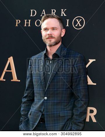 LOS ANGELES - JUN 4:  Shawn Ashmore at the 