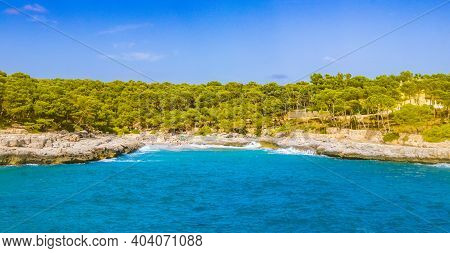 Turquoise Beach Bay Panorama Caló Des Borgit Burget Mallorca Spain.