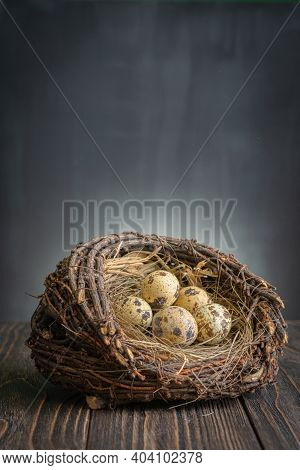 Little Fresh Quaileggs In A Nest On Dark Background