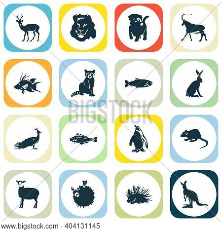 Fauna Icons Set With Raccoon, Porcupine, Hogfish And Other Rat Elements. Isolated Vector Illustratio