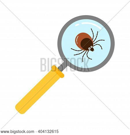Vector Realistic Isolated Ixodes Tick Insect With Magnifier Glass For Decoration And Covering On The