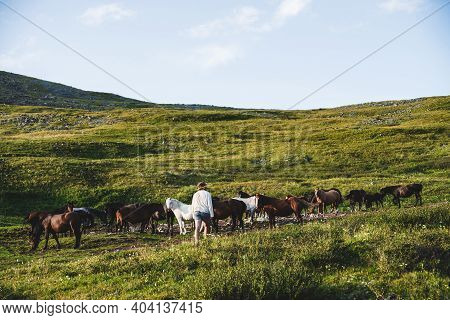 Cowboy Goes In Direction Of Beautiful Horses On Green Grassy Mountain Slope. Stableman With Herd Of 