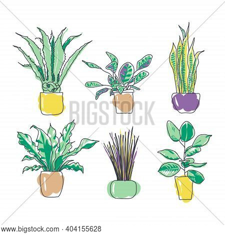 Colorful Set Of Trendy Stylish Houseplants. Plants In Pots For Interior Home Or Office. Cartoon Flat