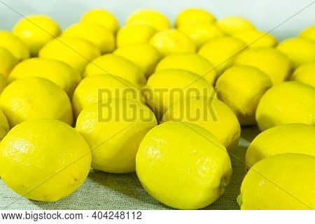 Fresh Ripe Lemons. Background From A Large Number Of Lemons Lying On The Table.