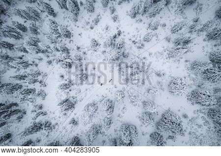 Krokonose Mountains Is Located In Northeastern Bohemia And In The South Of The Polish Part Of Silesi