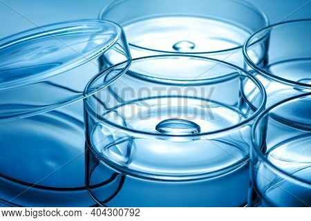 Clean Glass Petri Dish With Liquid Drop Inside Over Blue Light Background