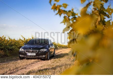 Kherson, Ukraine - June 2018. Black Bmw 5-series F10 In The Vineyards.