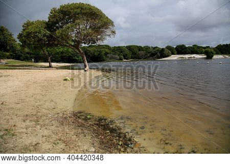 Abete Lagoon In Salvador