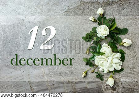 December 12nd. Day 12 Of Month, Calendar Date. Stylish Roses Flat Lay. White Roses Border On Pastel 