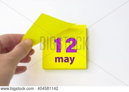 May 12nd. Day 12 Of Month, Calendar Date. Hand Rips Off The Yellow Sheet Of The Calendar. Spring Mon