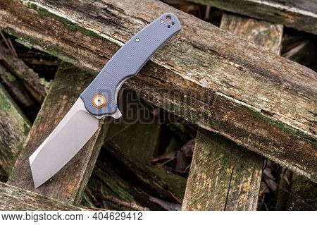 Rough Knife With A Thick Knife Blade. Knife With A Tanto Blade On A Tree. Top.