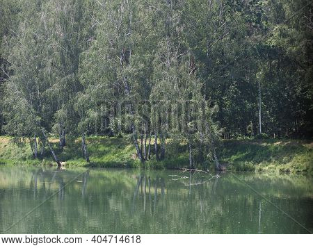 Landscape Of Trees And Breeding Pond In European Goczalkowice Town At Silesian District In Poland. C