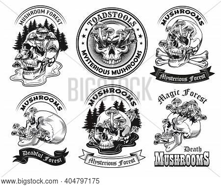 Mushrooms Tattoo Templates Set. Monochrome Design Elements With Skulls, Forest And Text On Ribbon. M