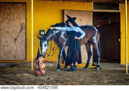 A Horse Is Sniffing An Impromptu Figurine Of Pumpkins, A Girl Dressed As A Witch Is Standing Nearby 