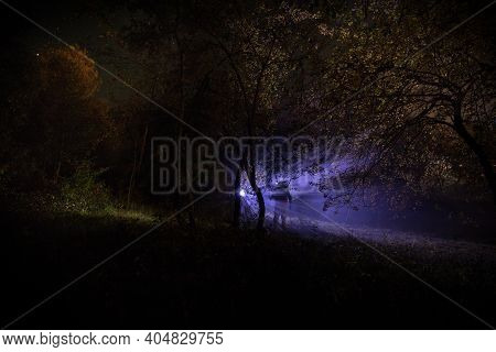 Strange Light In A Dark Forest At Night. Silhouette Of Person Standing In The Dark Forest With Light