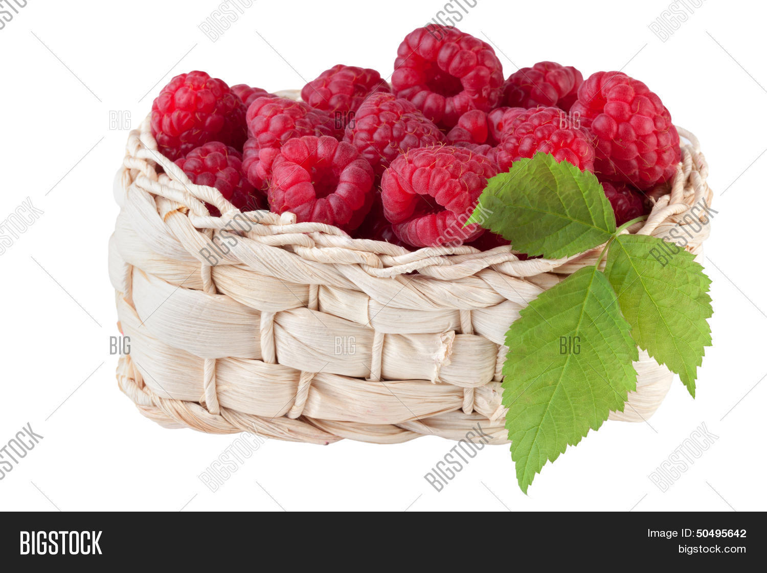 Raspberry Basket Image & Photo (Free Trial) Bigstock