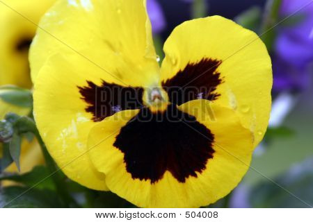 Spring01