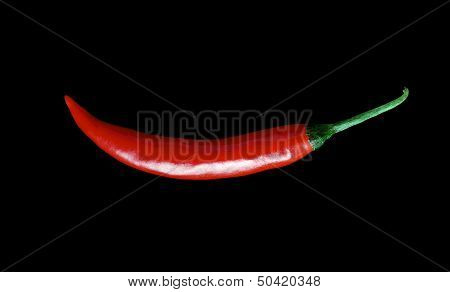 Fresh red hot chili peppers isolated on a black background