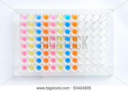 Colorful microplate