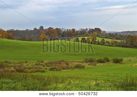 Autumn Green