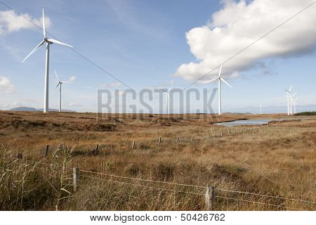 Wild Long Grass And Bogland With Wind Turbines
