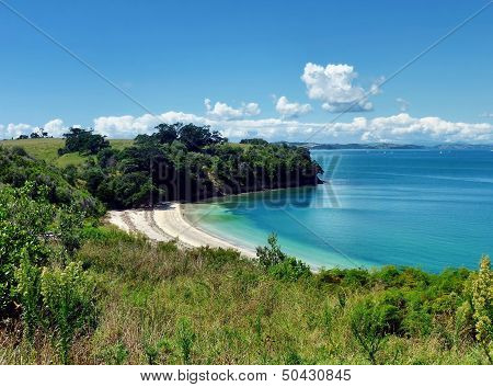 Sheltered Beach Surrounded By Hills And Trees