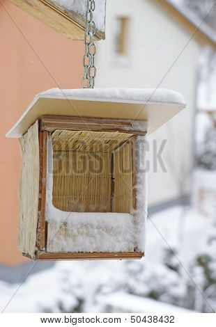 Bird Feeder