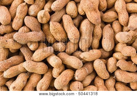 Peanut Or Groundnut