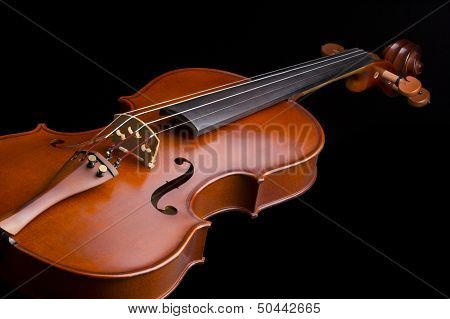 Violin - Musical instrument