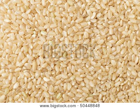 Uncooked brown rice