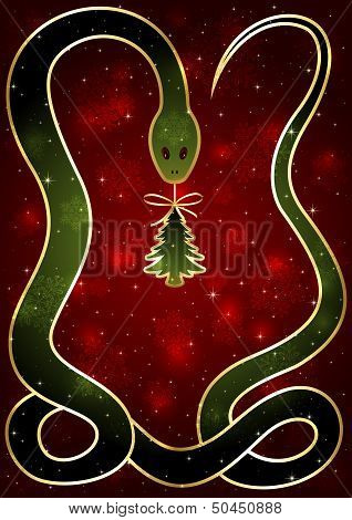 Snake Year
