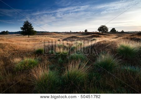 Morning Sunlight Through Hills