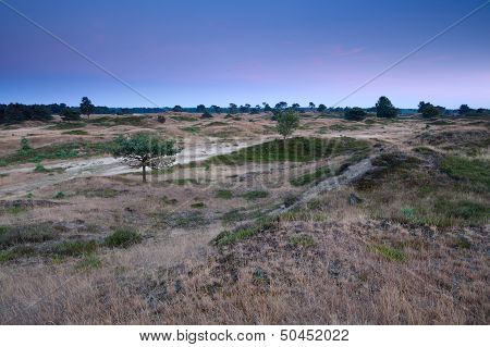 Hills In Dusk