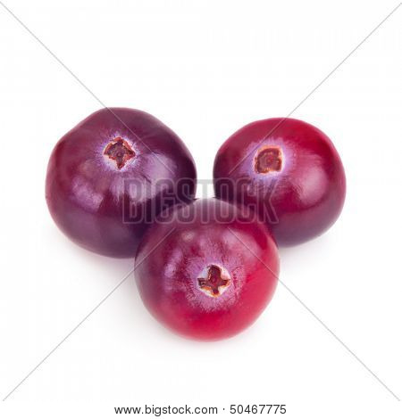 Fresh forest berry cranberry isolated on white background.