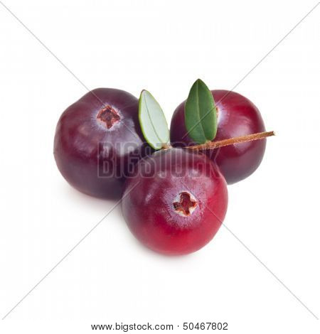 Forest berry cranberry with leaves isolated on white background.