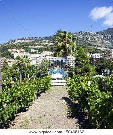 Luxury elite apartments in Monaco with vineyards